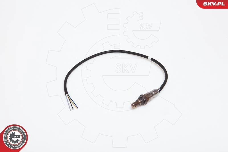 Oxygen Sensor